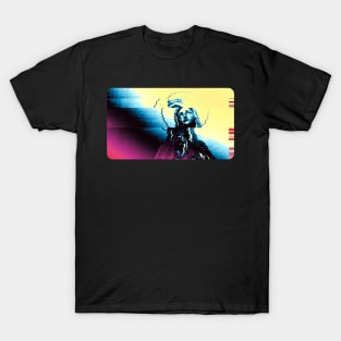 Adjust Tracking - Virgin Mary T-Shirt